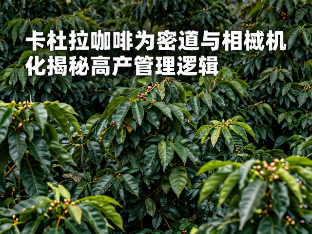 病虫害防控在密集种植中的特殊策略