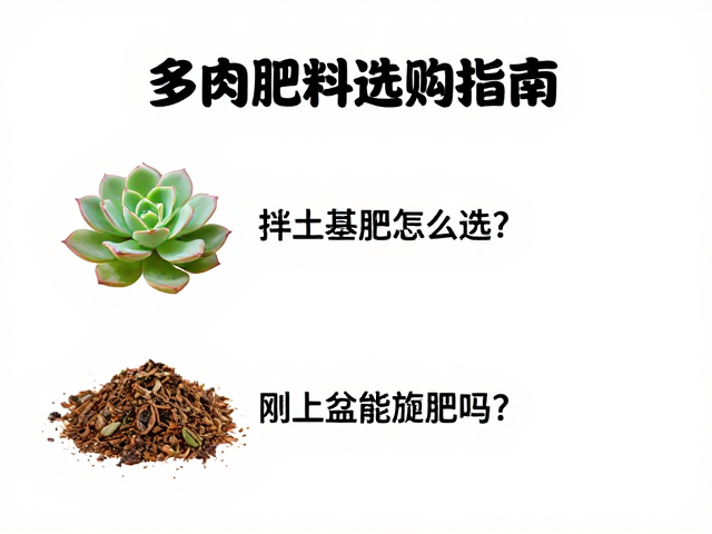 多肉肥料选购指南，拌土基肥怎么选？刚上盆能施肥吗？