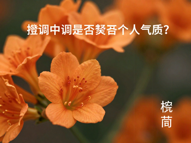 鲜花香氛的选款与搭配逻辑