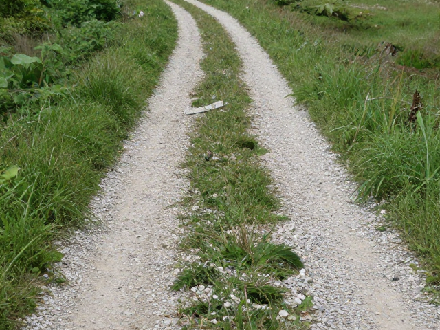 草丛碎石路随行，适应户外声响的场景化体验