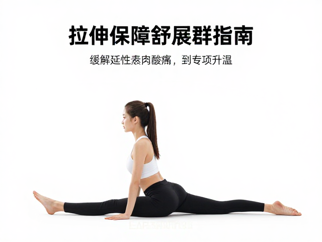 拉伸前保持身体温热?缓解延迟性肌肉酸痛的舒展肌群指南