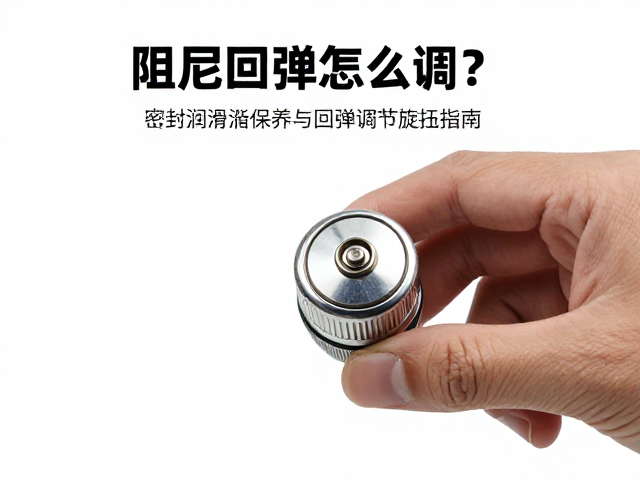 阻尼回弹怎么调？密封润滑脂保养与回弹调节旋钮使用指南
