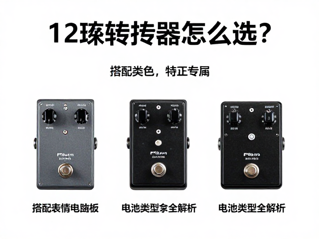 12弦转换器怎么选?搭配表情踏板与电池类型全解析