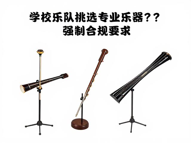 琴童家庭定制,如何为学校乐队挑选专业乐器?