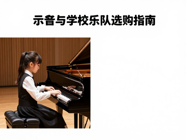 琴童家庭与学校乐队选购指南,避开社交媒体营销陷阱,选对乐器
