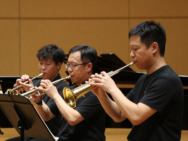 音乐院校教授示范演奏,知名乐器演奏家亲授技法