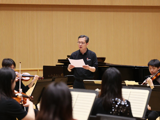 音乐院校教授,乐团排练指导与音乐教育创业实战指南