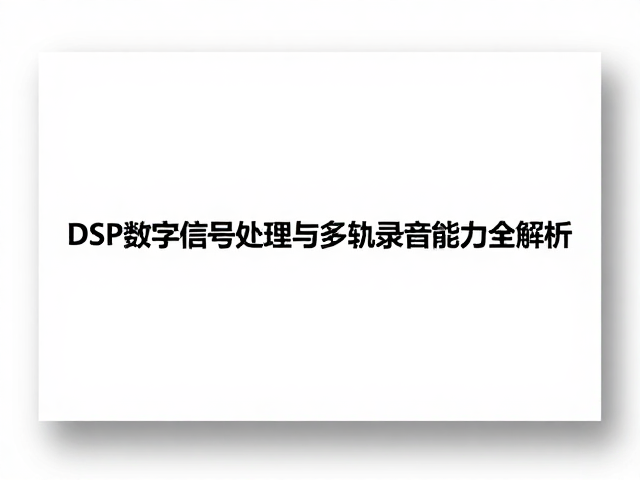企事业单位晚会演出,DSP数字信号处理与多轨录音能力全解析