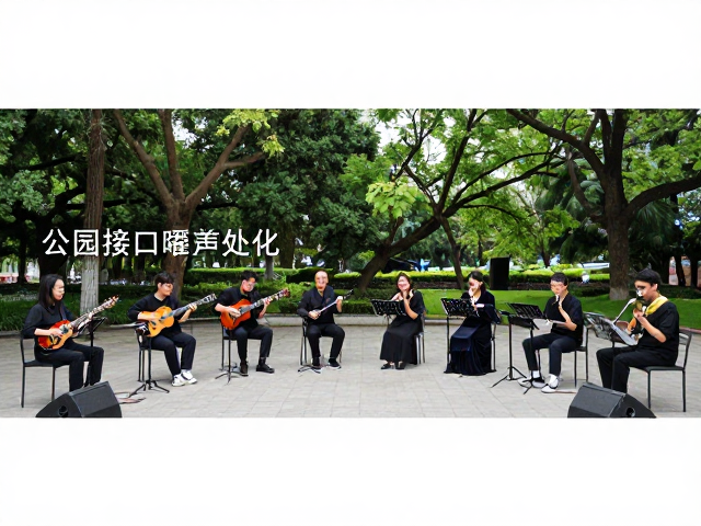 公园器乐合奏声场覆盖难题,接口氧化处理与音响优化指南