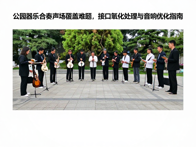 公园器乐合奏声场覆盖难题,接口氧化处理与音响优化指南