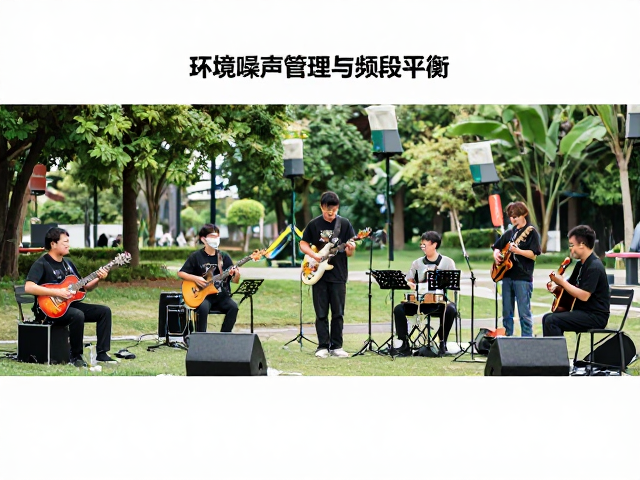 街头艺人公园器乐合奏,如何优化声场覆盖提升表演效果?