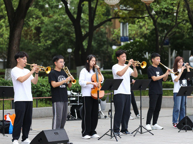 街头艺人公园器乐合奏,如何优化声场覆盖提升表演效果?