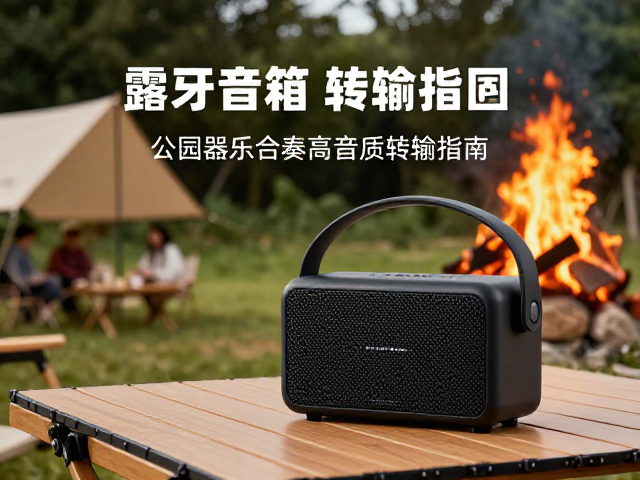 露营篝火晚会蓝牙音箱怎么选?公园器乐合奏高音质传输指南
