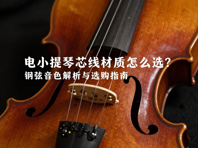 电小提琴芯线材质怎么选？钢弦音色解析与选购指南