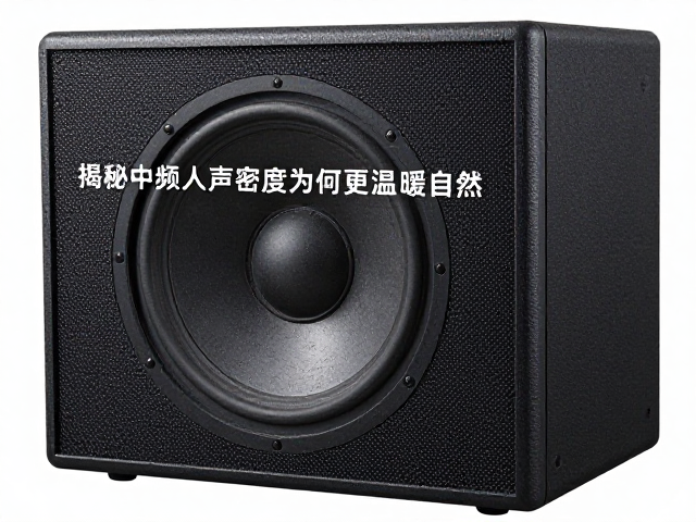 纸盆振膜易受潮?揭秘中频人声密度为何更温暖自然