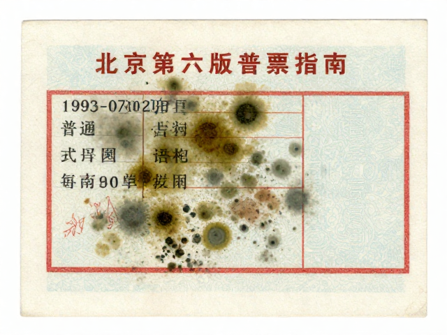 北京第六版普票(1993-2002)普通单枚防潮防霉指南