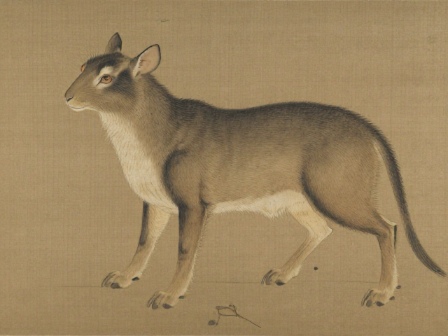 十二生肖古画揭秘,传统名画中的动物生态与文化寓意