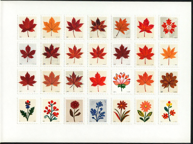 枫叶花卉邮票收藏,集邮册展示背后的国家身份认同与文化记忆