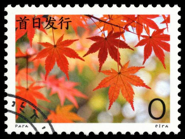 枫叶花卉邮票首日发行,专业邮票拍卖指南与市场行情