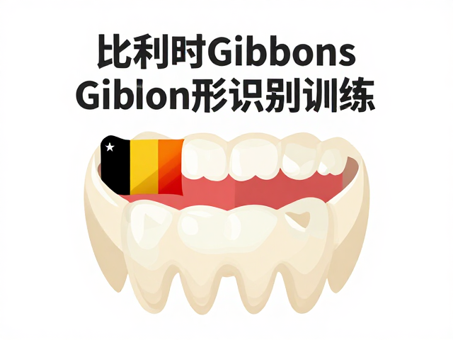 比利时Gibbons齿形识别训练,精准解决漏齿痛点