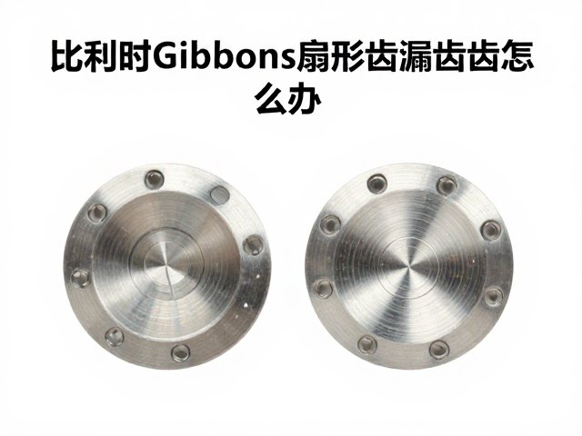 比利时Gibbons扇形齿漏齿怎么办?专业解决方案与选型指南