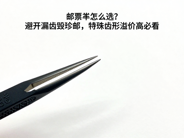 邮票镊子怎么选?避开漏齿毁珍邮,特殊齿形溢价高必看
