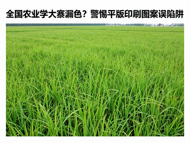 全国农业学大寨漏色?警惕平版印刷图案错误陷阱