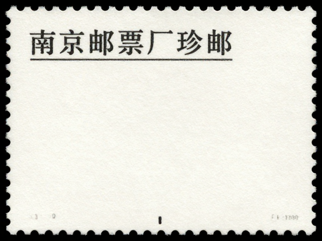 邮票识别技巧,如何通过边纸特征鉴定南京邮票厂珍邮?