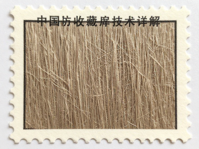 纸质邮票收藏指南，纸张纤维分析与防氧化处理技术详解