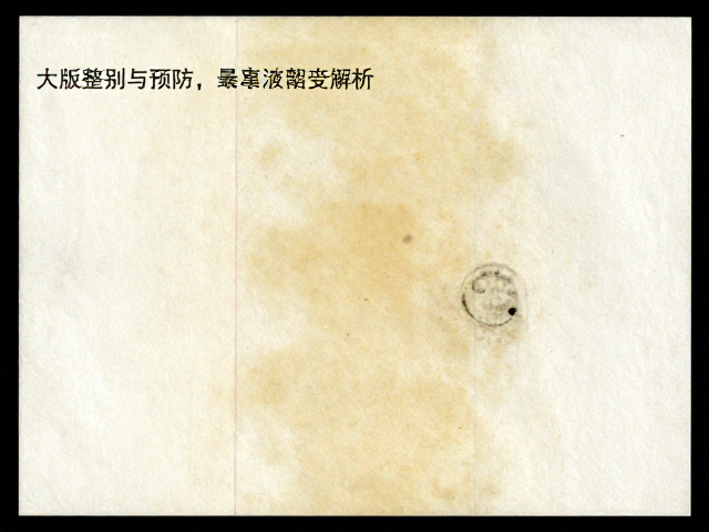 大版整版票宣纸黄斑原因解析,如何鉴别与预防邮票受潮变黄