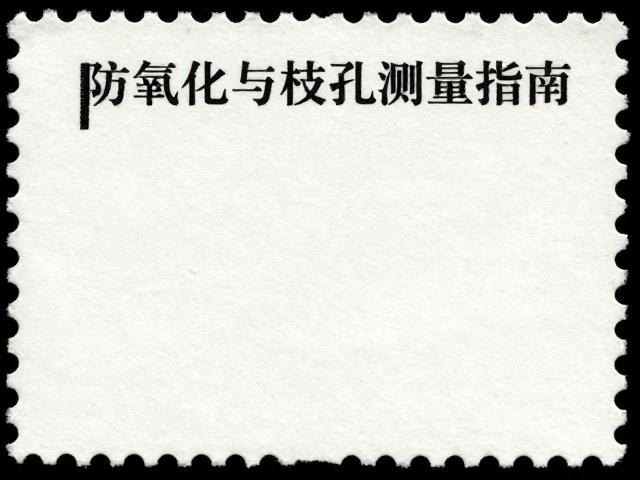 纸质邮票防氧化与齿孔测量指南,新手收藏避坑与保养技巧