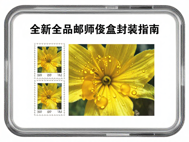 全新全品邮票评级盒封装指南，如何识别与规避自然黄斑风险