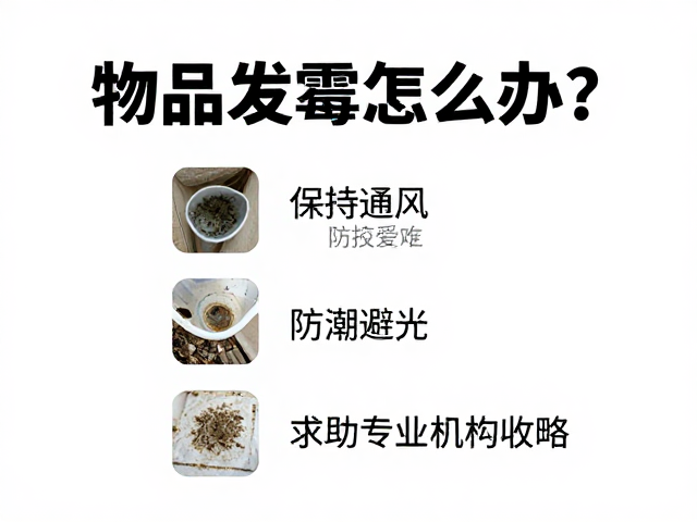 物品发霉怎么办?保持通风,防潮避光,求助专业机构防霉全攻略