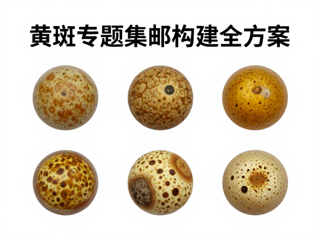 新手收藏指南,黄斑专题集邮构建全方案