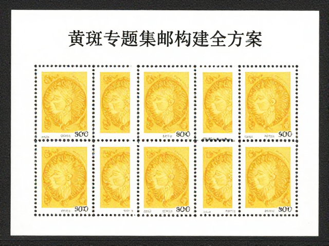新手收藏指南,黄斑专题集邮构建全方案