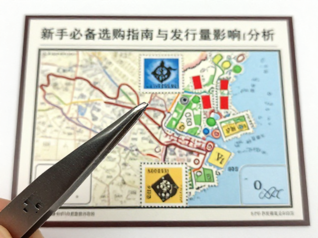 新手收藏必备，邮票镊子选购指南与发行量影响分析