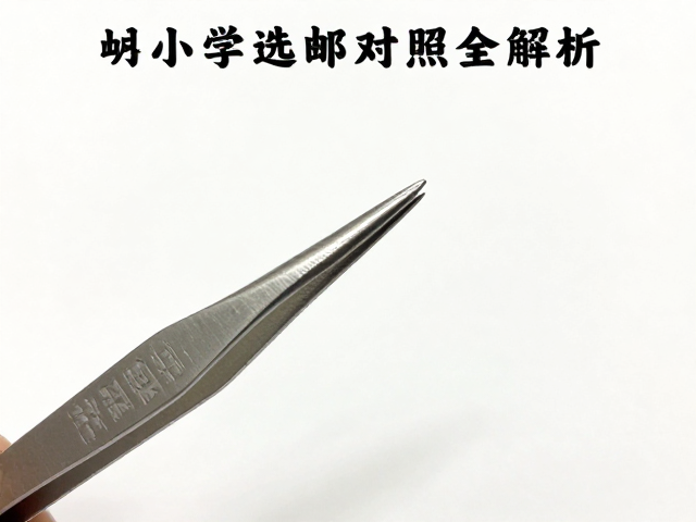 中小学集邮指南，邮票镊子选购与目录版本对照全解析