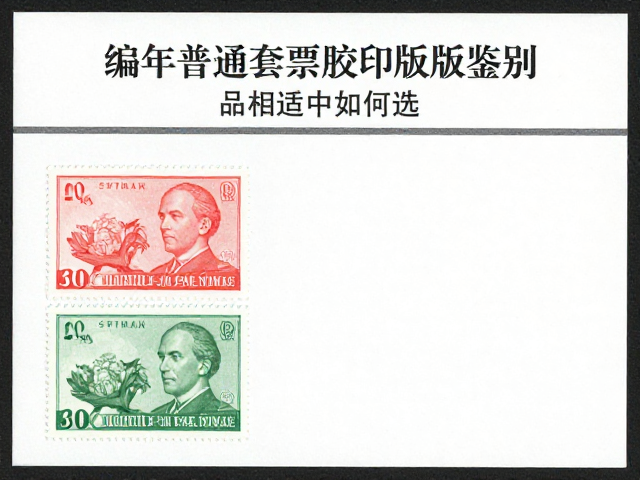 编年普通套票胶印版鉴别，品相适中如何选？附市场流通与SEO收录指南