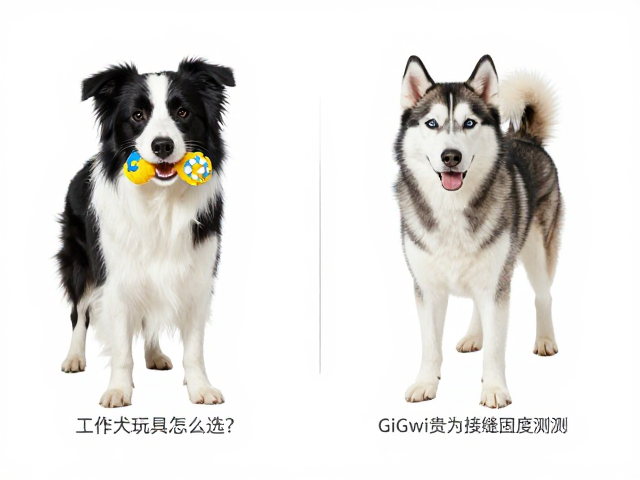 工作犬玩具怎么选?GiGwi贵为接缝牢固度实测,边牧哈士奇适用