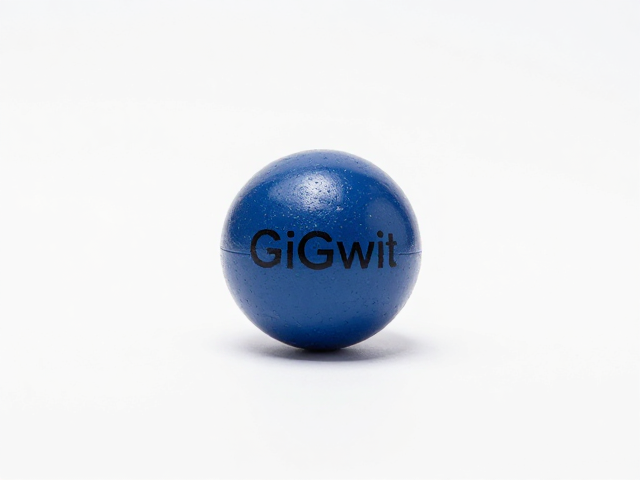 GiGwi贵为Chuckit球回弹性观察，材质耐用度实测