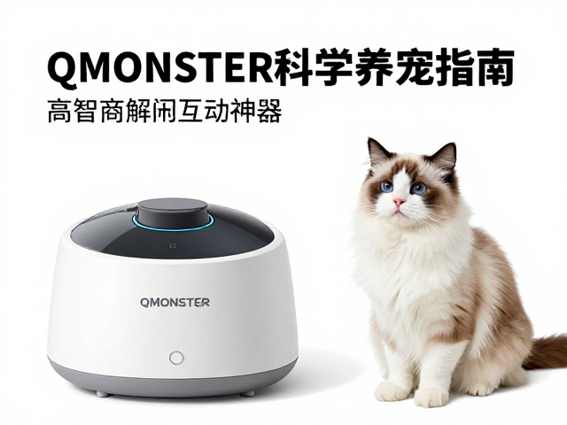 QMONSTER科学养宠指南，高智商解闷互动神器，告别宠物焦虑