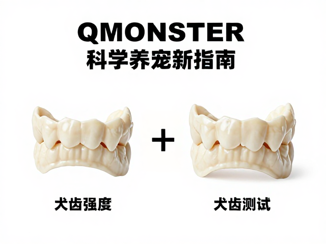 QMONSTER，根据犬齿强度选材质，科学养宠新指南