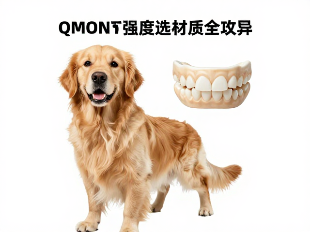 金毛犬齿强选啥材质?QMONSTER根据犬齿强度选材质全攻略