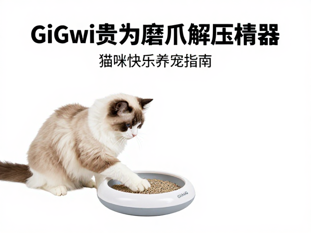 高净值宠物家庭首选,GiGwi贵为磨爪解压神器,猫咪快乐养宠指南