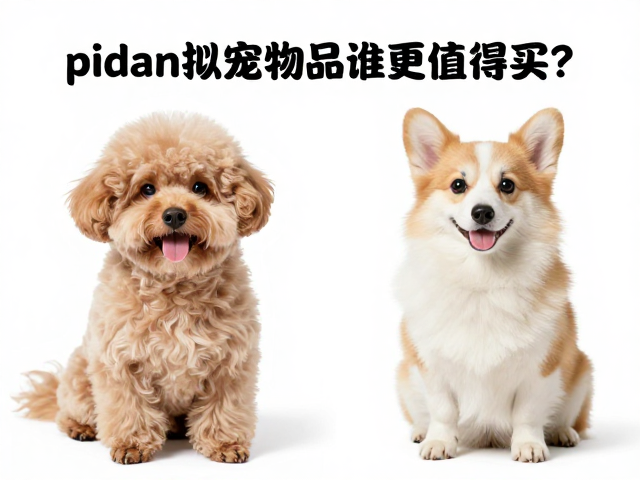 pidan与小佩对比,萌趣拟态宠物用品谁更值得买?