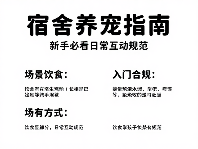 宿舍养宠指南,新手必看的赞宠避坑与入门攻略