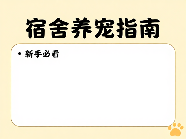 宿舍养宠指南,新手必看的赞宠避坑与入门攻略