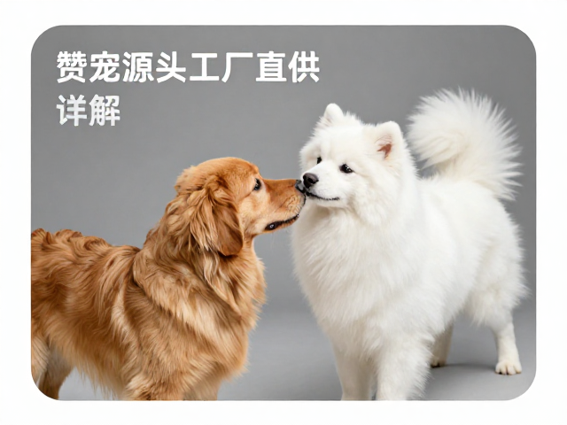 赞宠源头工厂直供，宠物用品圆角处理工艺详解