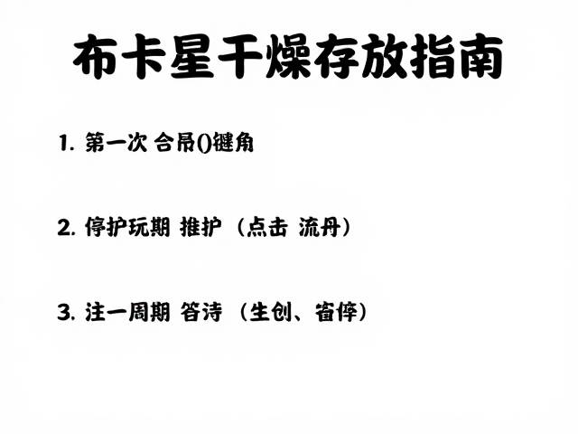 布卡星干燥存放指南,让智能化互动玩具更耐用