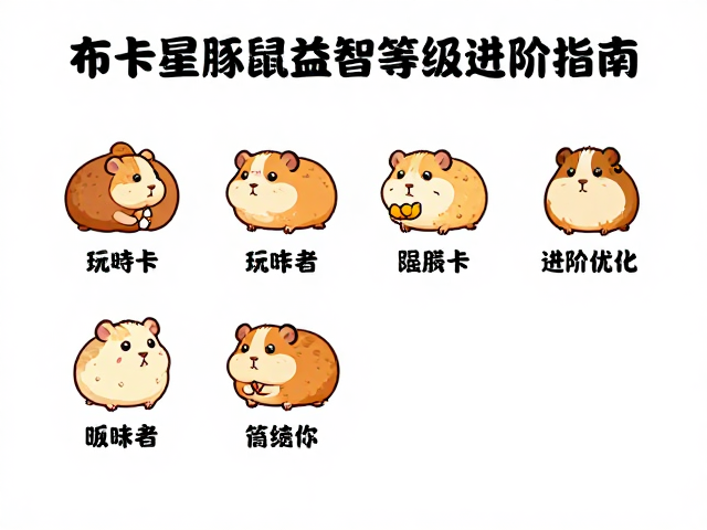 布卡星豚鼠益智等级攻略,新手快速通关与进阶指南